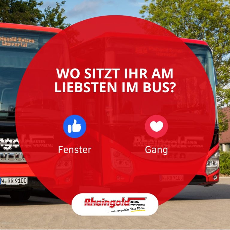 419360633 900179075444320 2756563940380444960 n - Rheingoldbus Wuppertal