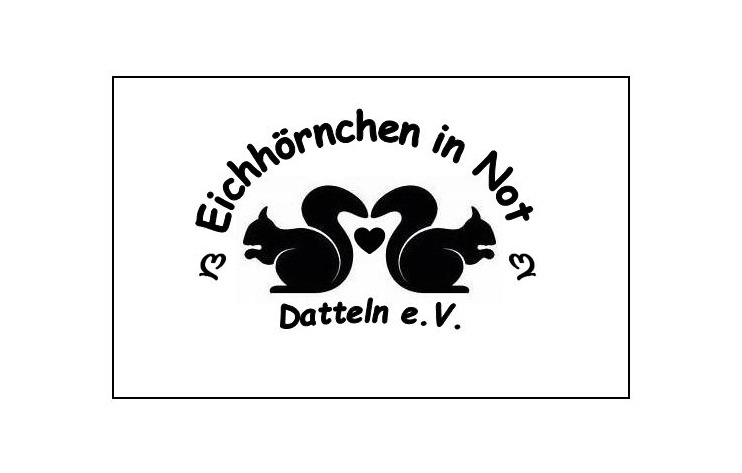eichhoernchen - Rheingoldbus Wuppertal
